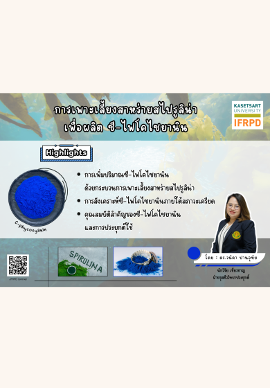 การเพาะเลี้ยงสาหร่ายสไปรูลิน่าเพื่อผลิตซี-ไฟโคไซยานิน